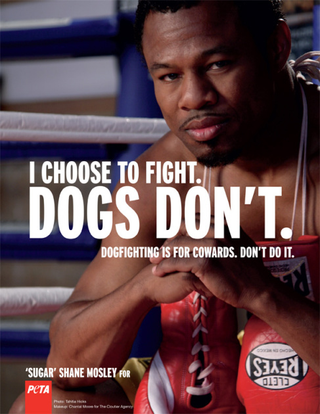 Illustration for article titled Confessions of a Concussion Collector: Why It's Okay To Enjoy Boxing